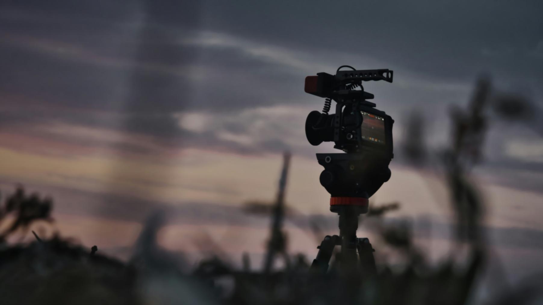 Collaborative editing session with peer feedback tools