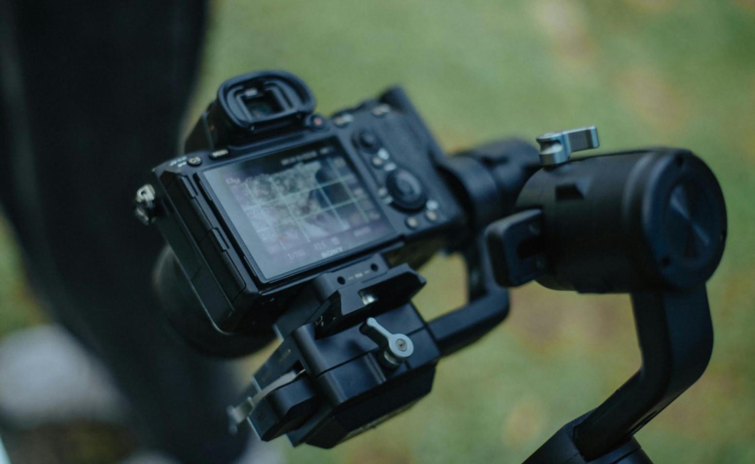 Structured editing assignment interface